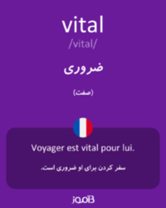  تصویر vital - دیکشنری انگلیسی بیاموز