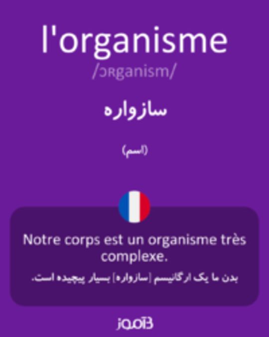  تصویر l'organisme - دیکشنری انگلیسی بیاموز