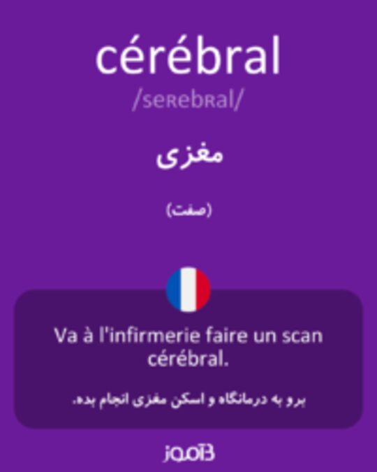  تصویر cérébral - دیکشنری انگلیسی بیاموز