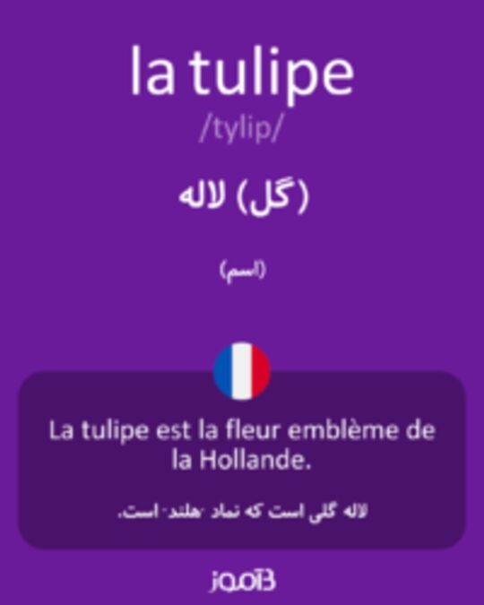  تصویر la tulipe - دیکشنری انگلیسی بیاموز