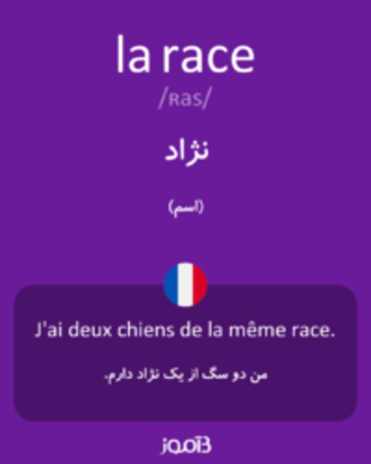  تصویر la race - دیکشنری انگلیسی بیاموز