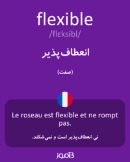  تصویر flexible - دیکشنری انگلیسی بیاموز