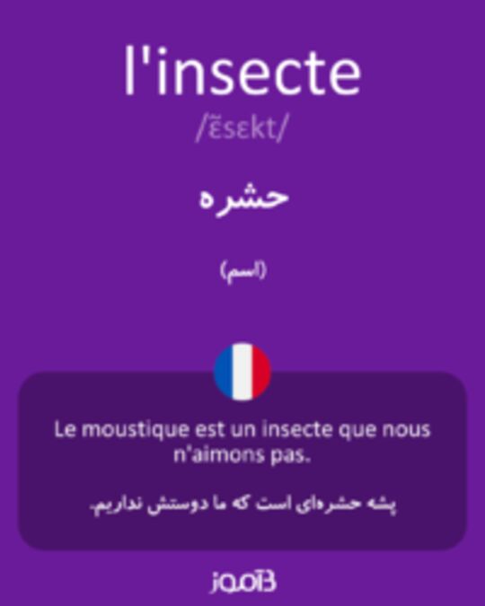  تصویر l'insecte - دیکشنری انگلیسی بیاموز