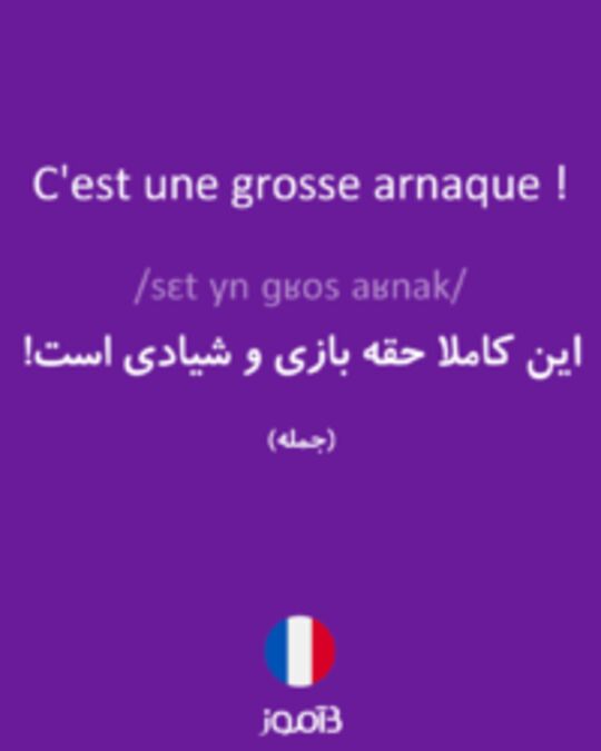  تصویر C'est une grosse arnaque ! - دیکشنری انگلیسی بیاموز