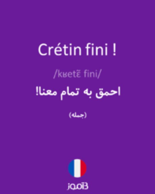  تصویر Crétin fini ! - دیکشنری انگلیسی بیاموز