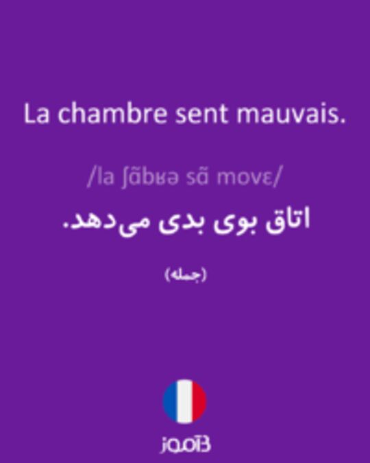  تصویر La chambre sent mauvais. - دیکشنری انگلیسی بیاموز