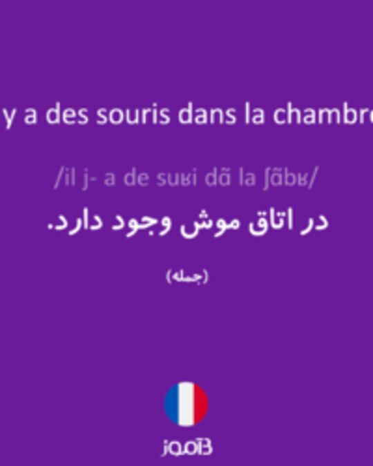  تصویر Il y a des souris dans la chambre. - دیکشنری انگلیسی بیاموز