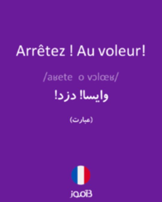  تصویر Arrêtez ! Au voleur! - دیکشنری انگلیسی بیاموز