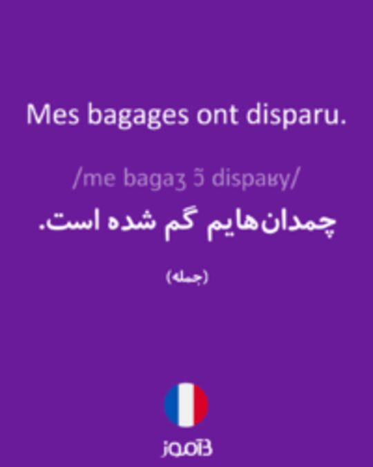  تصویر Mes bagages ont disparu. - دیکشنری انگلیسی بیاموز