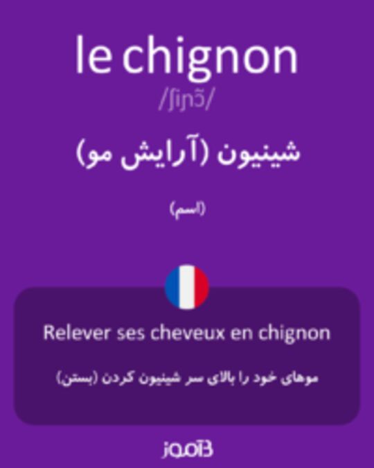  تصویر le chignon - دیکشنری انگلیسی بیاموز