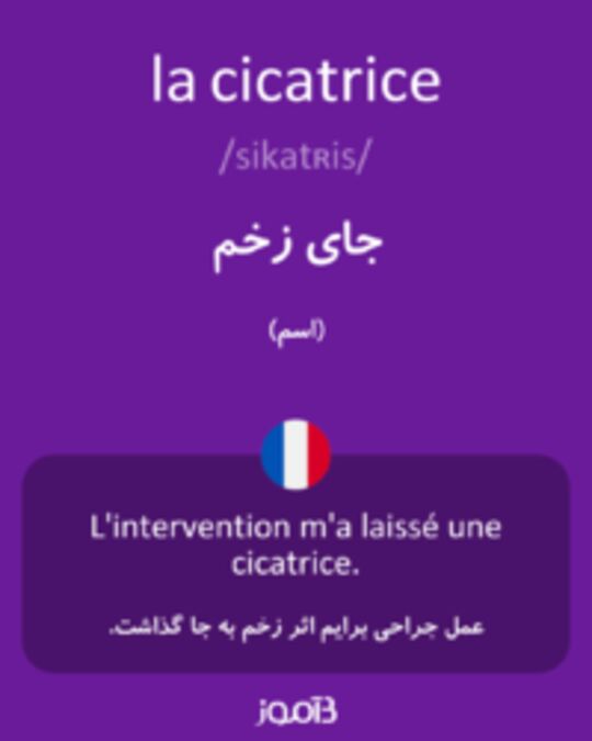  تصویر la cicatrice - دیکشنری انگلیسی بیاموز