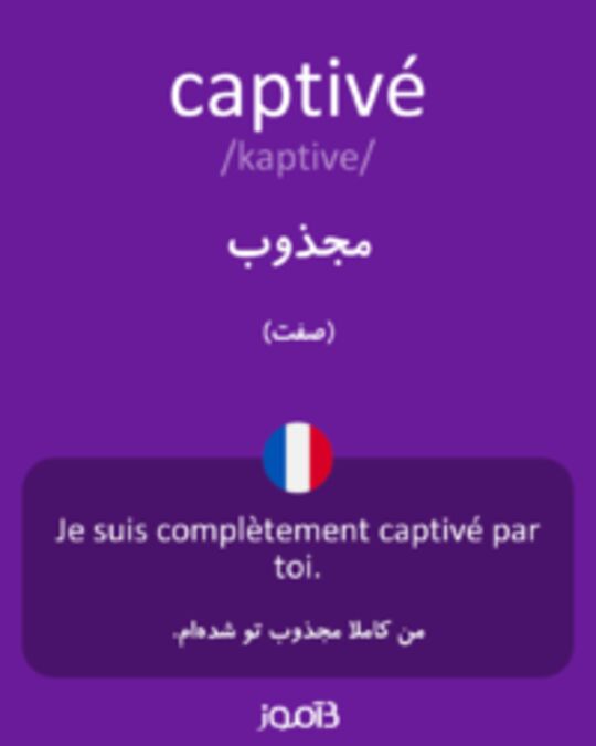  تصویر captivé - دیکشنری انگلیسی بیاموز