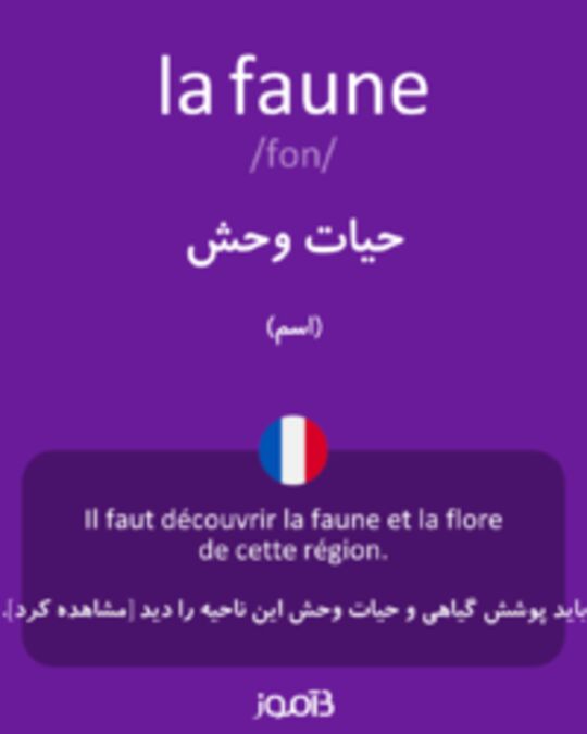  تصویر la faune - دیکشنری انگلیسی بیاموز