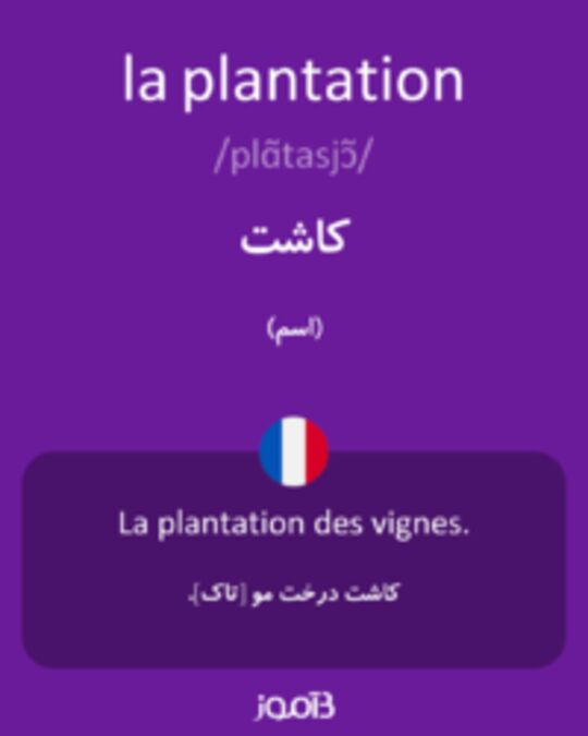  تصویر la plantation - دیکشنری انگلیسی بیاموز