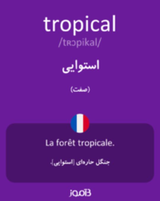  تصویر tropical - دیکشنری انگلیسی بیاموز