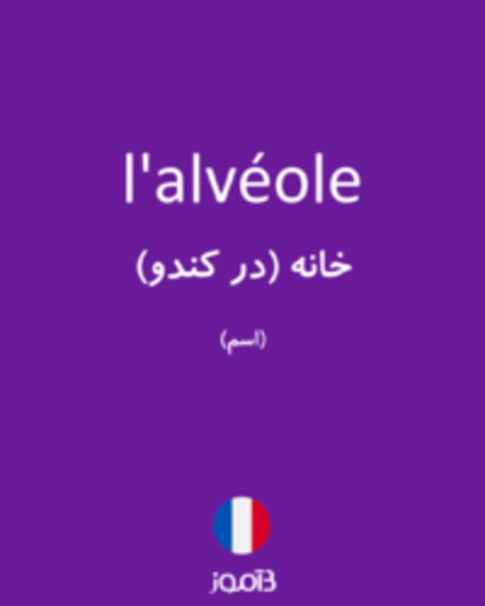  تصویر l'alvéole - دیکشنری انگلیسی بیاموز