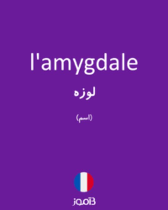  تصویر l'amygdale - دیکشنری انگلیسی بیاموز