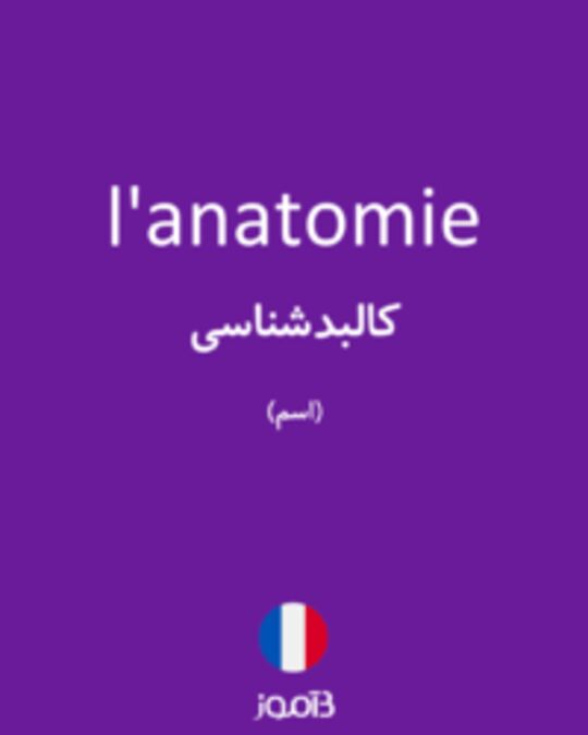  تصویر l'anatomie - دیکشنری انگلیسی بیاموز