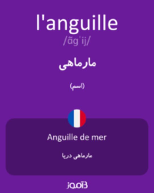  تصویر l'anguille - دیکشنری انگلیسی بیاموز