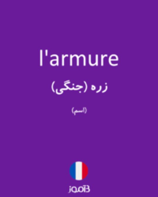  تصویر l'armure - دیکشنری انگلیسی بیاموز