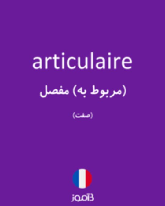  تصویر articulaire - دیکشنری انگلیسی بیاموز