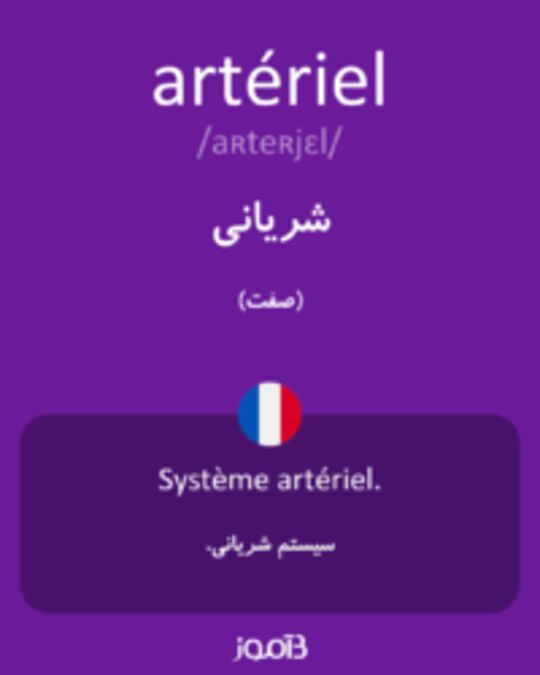  تصویر artériel - دیکشنری انگلیسی بیاموز