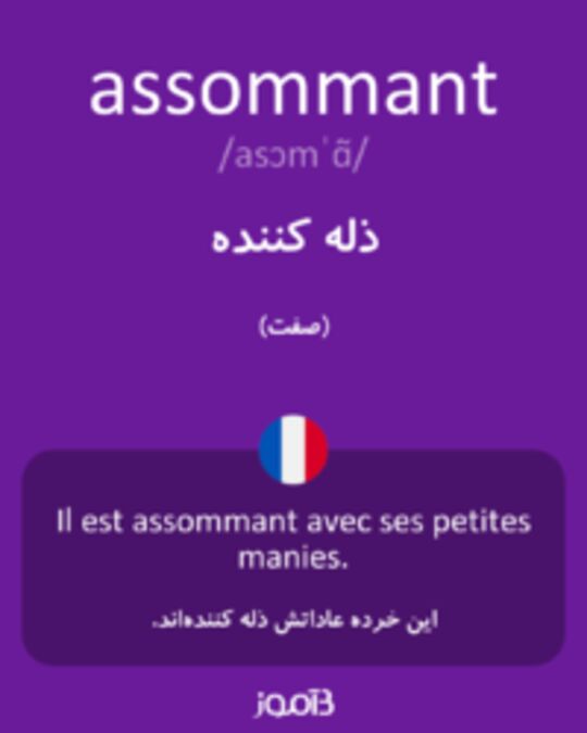  تصویر assommant - دیکشنری انگلیسی بیاموز