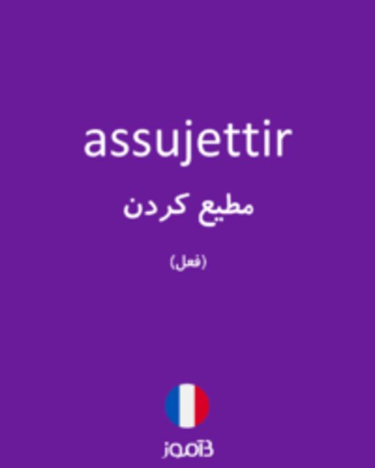  تصویر assujettir - دیکشنری انگلیسی بیاموز