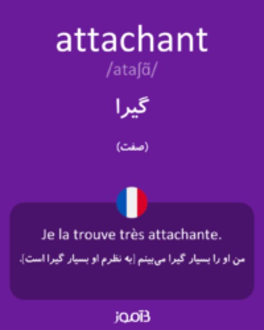  تصویر attachant - دیکشنری انگلیسی بیاموز