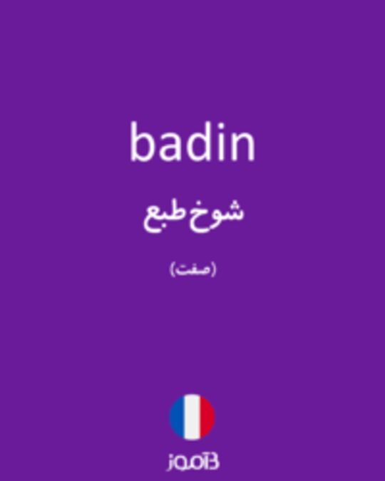  تصویر badin - دیکشنری انگلیسی بیاموز