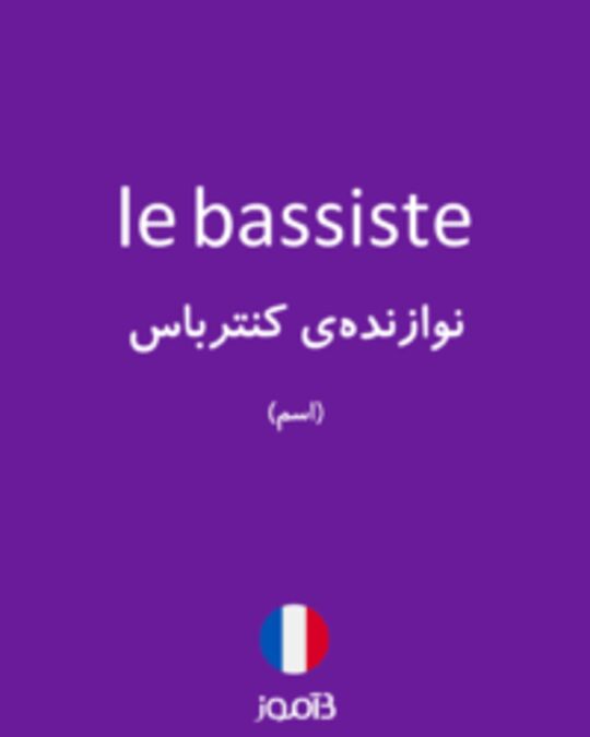  تصویر le bassiste - دیکشنری انگلیسی بیاموز