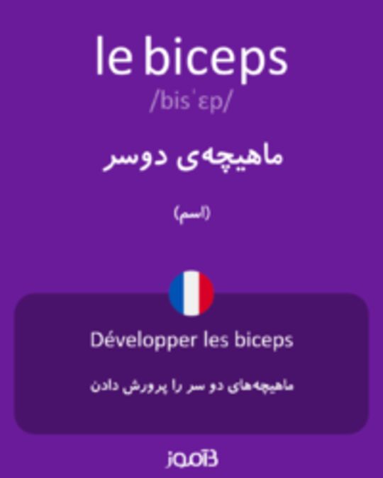  تصویر le biceps - دیکشنری انگلیسی بیاموز