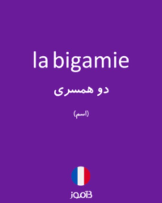  تصویر la bigamie - دیکشنری انگلیسی بیاموز