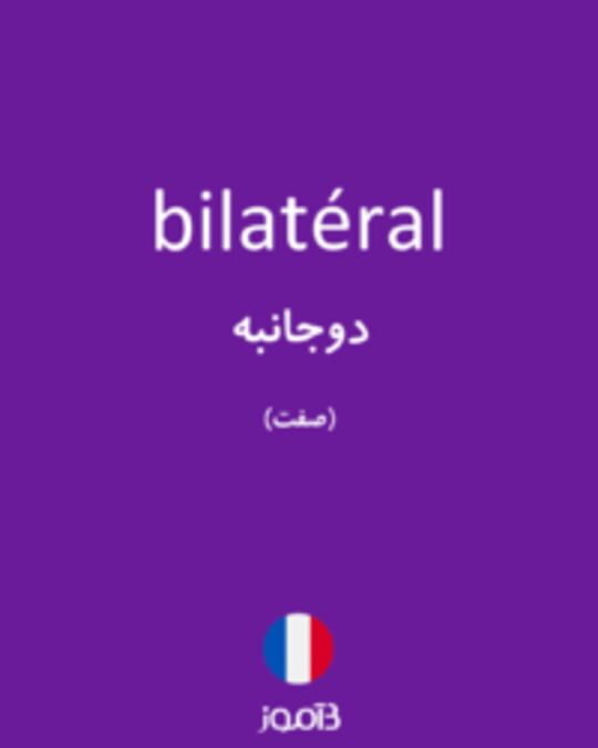  تصویر bilatéral - دیکشنری انگلیسی بیاموز