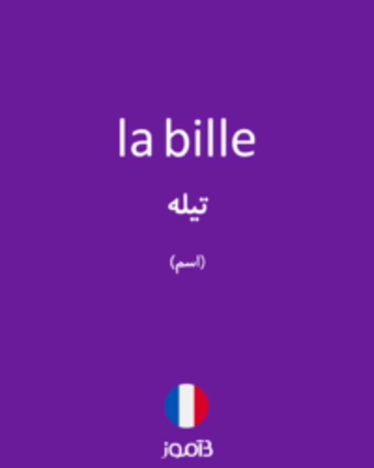  تصویر la bille - دیکشنری انگلیسی بیاموز