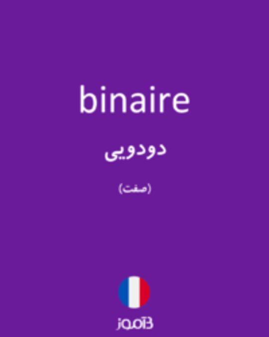  تصویر binaire - دیکشنری انگلیسی بیاموز