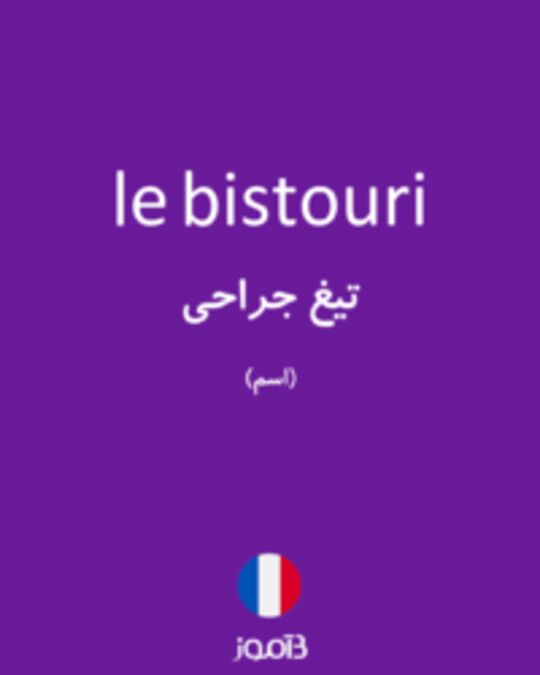  تصویر le bistouri - دیکشنری انگلیسی بیاموز