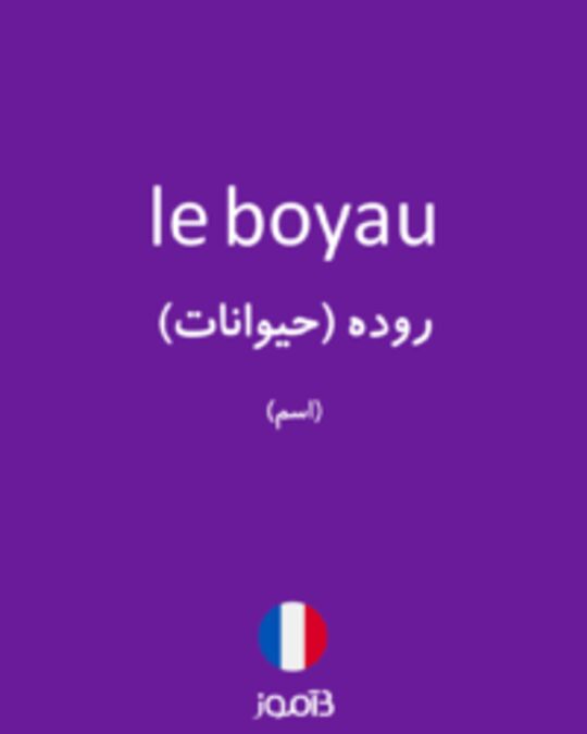  تصویر le boyau - دیکشنری انگلیسی بیاموز