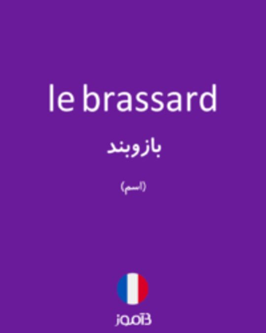  تصویر le brassard - دیکشنری انگلیسی بیاموز