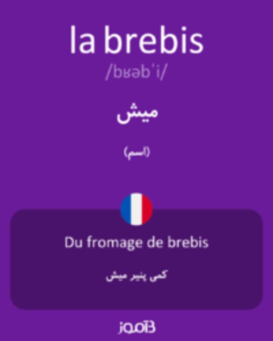  تصویر la brebis - دیکشنری انگلیسی بیاموز