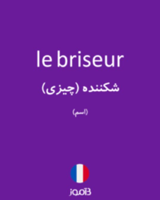  تصویر le briseur - دیکشنری انگلیسی بیاموز