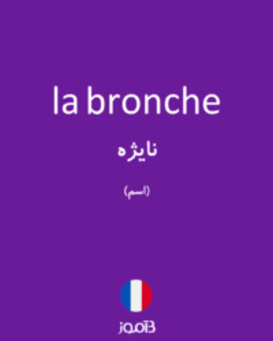  تصویر la bronche - دیکشنری انگلیسی بیاموز