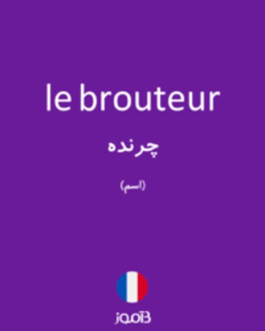  تصویر le brouteur - دیکشنری انگلیسی بیاموز