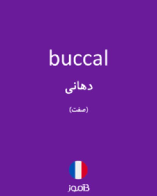  تصویر buccal - دیکشنری انگلیسی بیاموز