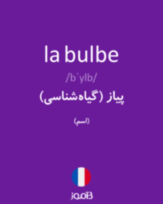  تصویر la bulbe - دیکشنری انگلیسی بیاموز