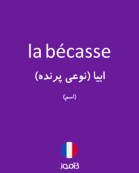  تصویر la bécasse - دیکشنری انگلیسی بیاموز