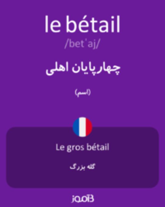  تصویر le bétail - دیکشنری انگلیسی بیاموز