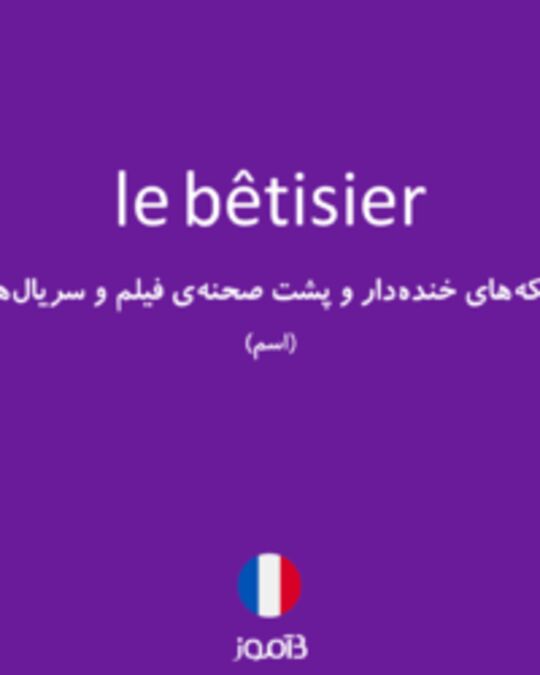  تصویر le bêtisier - دیکشنری انگلیسی بیاموز