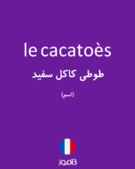  تصویر le cacatoès - دیکشنری انگلیسی بیاموز