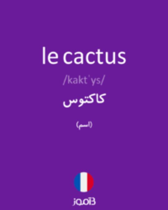  تصویر le cactus - دیکشنری انگلیسی بیاموز